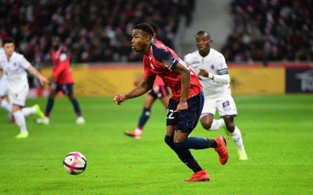 情则是她们 情则是她们