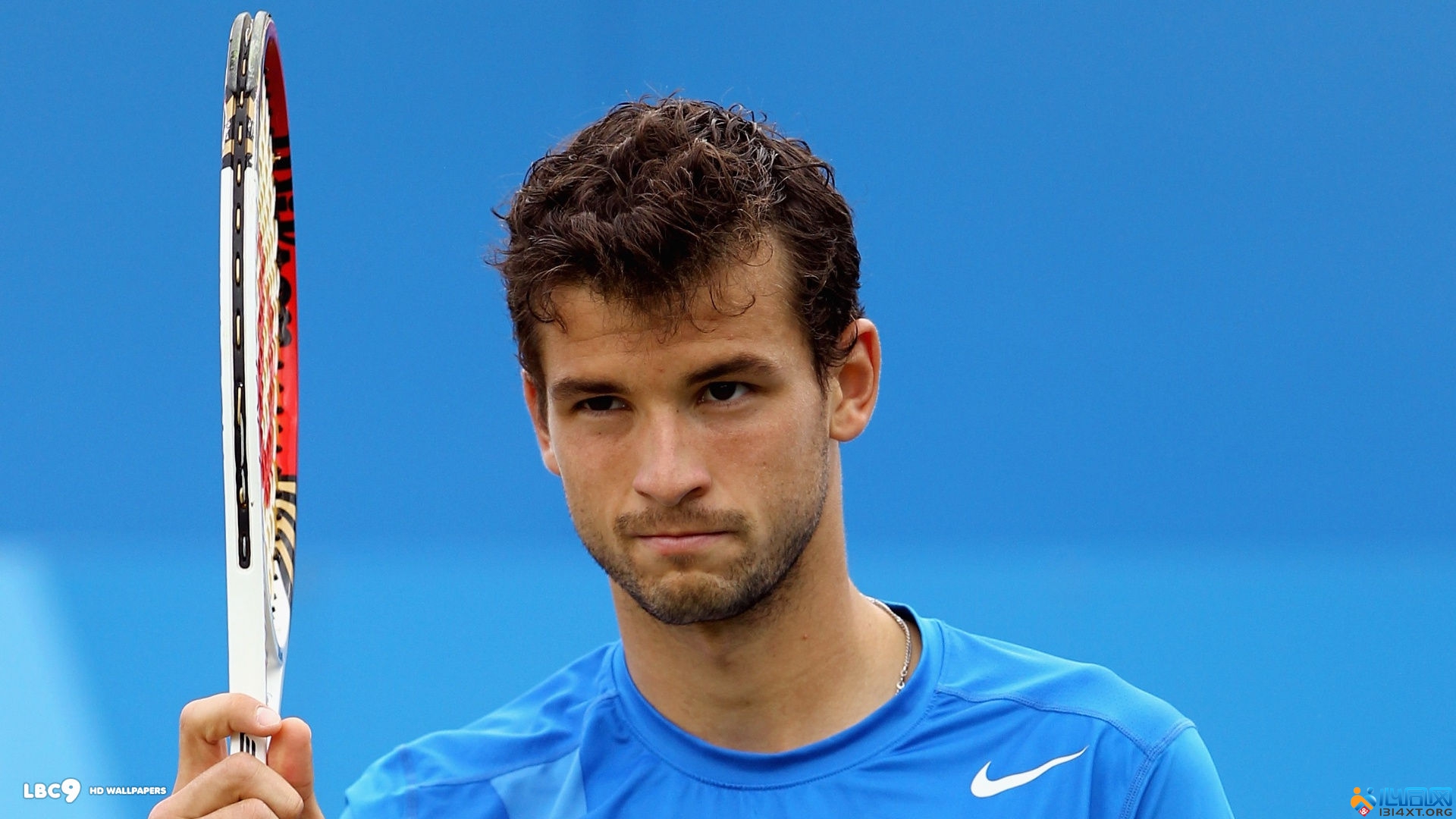 聚集了樊振 聚集了樊振