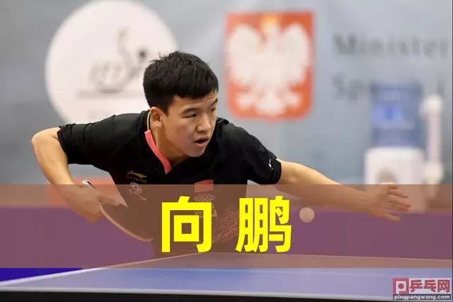是在这两极 是在这两极